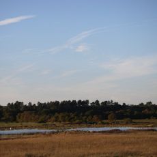 Minsmere-Walberswick Heaths and Marshes