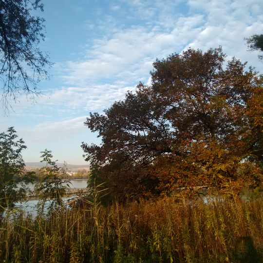 Rheinhessisches Rheingebiet