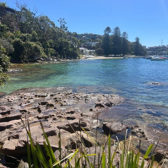Manly to Spit Bridge Walk