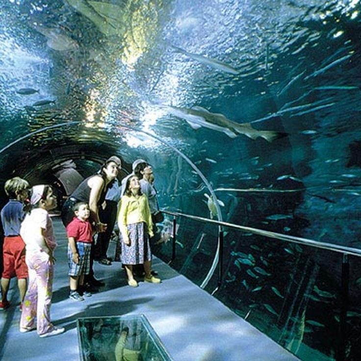 Aquarium