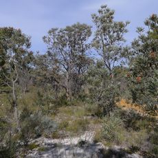 Wandoo National Park