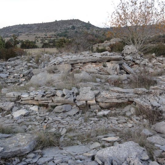 Dolmen de Saint-Martin-du-Larzac 3