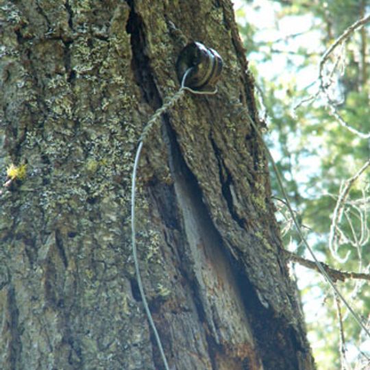 Polebridge to Numa Ridge Phoneline