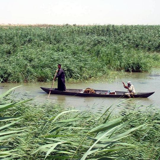 Mesopotamian Marshes