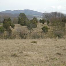 Dörneberg bei Viesebeck