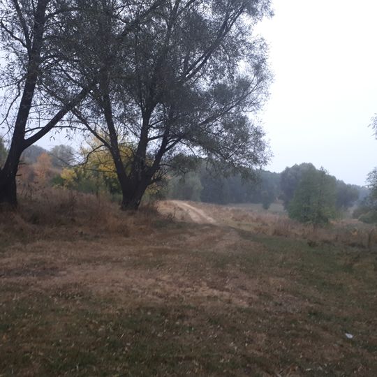 Дубинський заказник