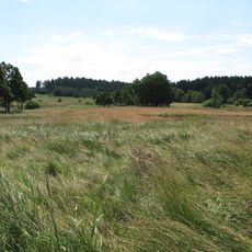 Šimanovské rašeliniště