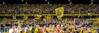 BSC Young Boys Profile Cover