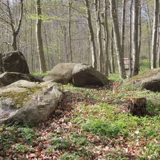 Großsteingrab Vogelsang