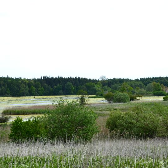 Überschwemmungswiesen Jägerslust