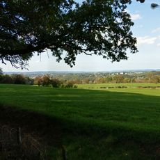 Punto di vista panoramico
