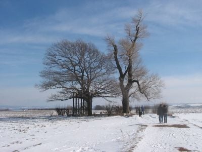 Hiver 1