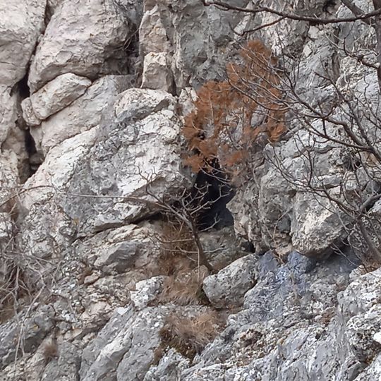 Margitligeti szirtoldali Cave