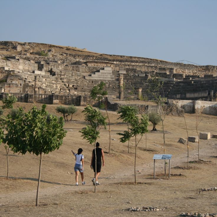Parque Arqueológico de Segóbriga
