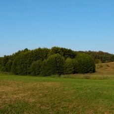 Feuchtgebiet nordöstlich von Oßhalden
