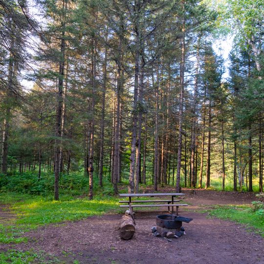 Finland State Forest