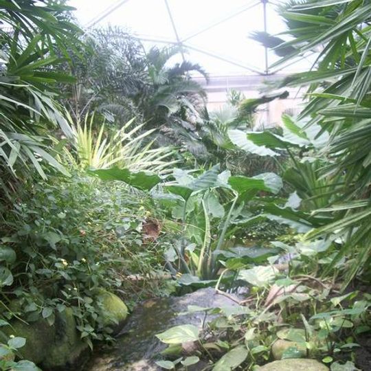 Papiliorama