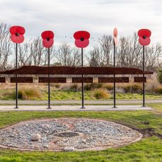 Poppies over Gallipoli