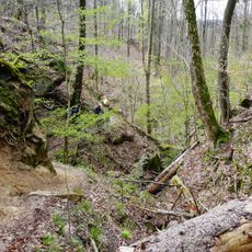 Bodenbachschlucht