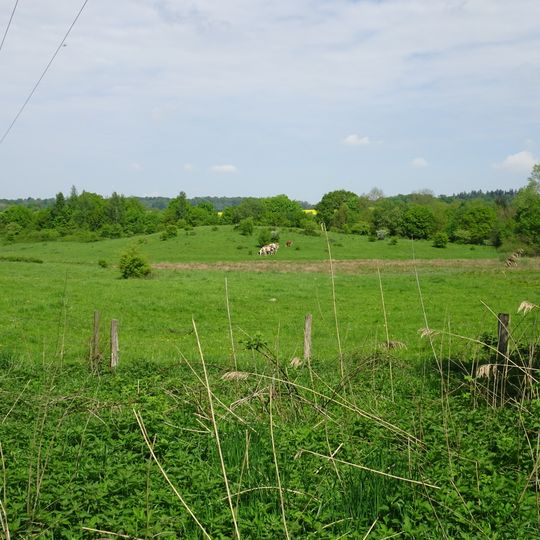 Kasseedorfer Teiche und Umgebung