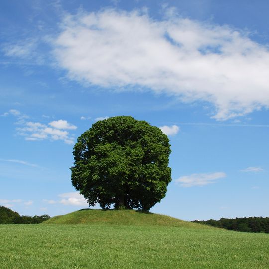 Schutz von Landschaftsteilen am Ammersee-Südufer, Pähl