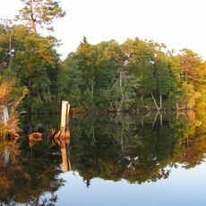 Lake Atsion