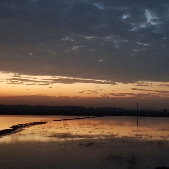 تعلقہ جیکب آباد