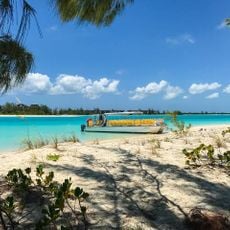 Road Ends. Wild Cow Run.