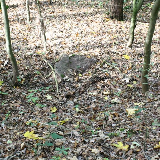 Großsteingrab NHA 11