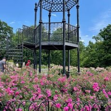 Columbus Park of Roses