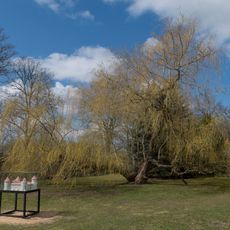 Jaundoles viduslaiku pils