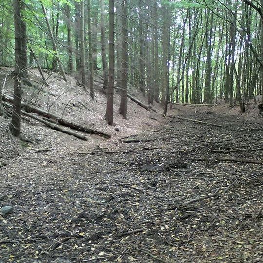 Burgwall Quadenschönfeld