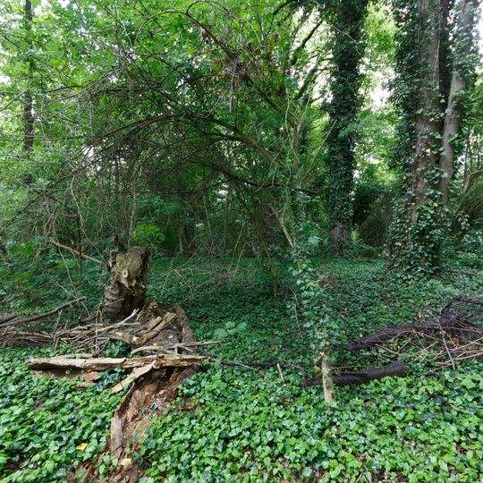 Schloßpark Lichterfelde