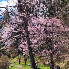 Nokkeushi Park