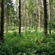 Twiedtberge mit Umgebung