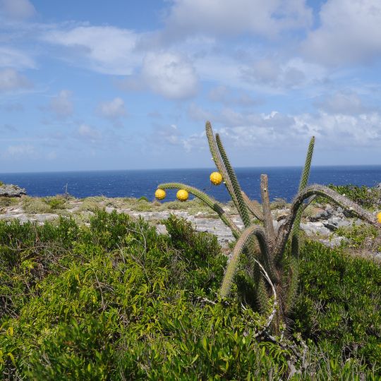 Mona and Monito Islands Nature Reserve