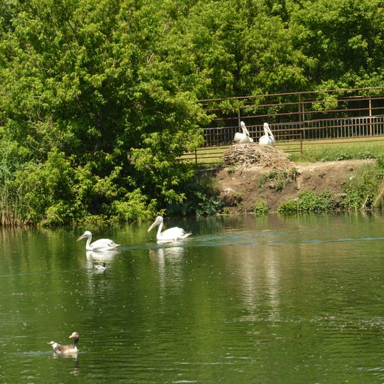 Ռոստովի կենդանաբանական այգու տնկարկներ