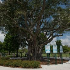 Tropical Park