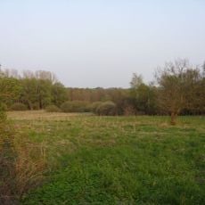 Heerweger Moor und Quellbereiche der Ritterhuder Beeke