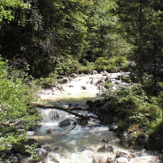 NSG 'Aschau', NSG 'Schwarzbach' und Schwimmendes Moos