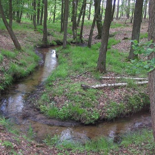 Bullenberger Bach/Klein Briesener Bach