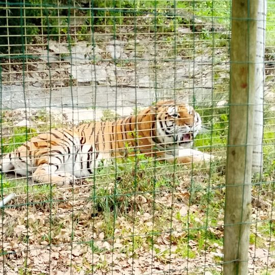 Europaradise - Parque Zoológico