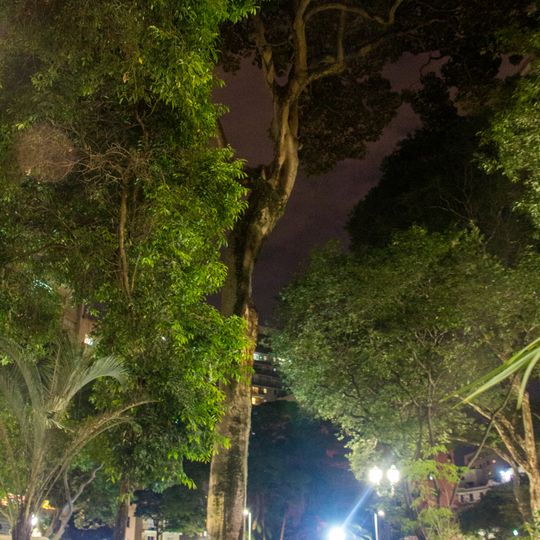 Chichá do Largo do Arouche