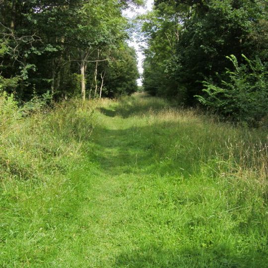 Brampton Wood
