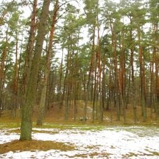 Pakalniškiai hillfort, Radviliškis
