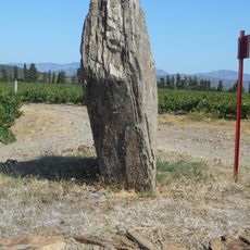 Pedra Dreta de Caladroer