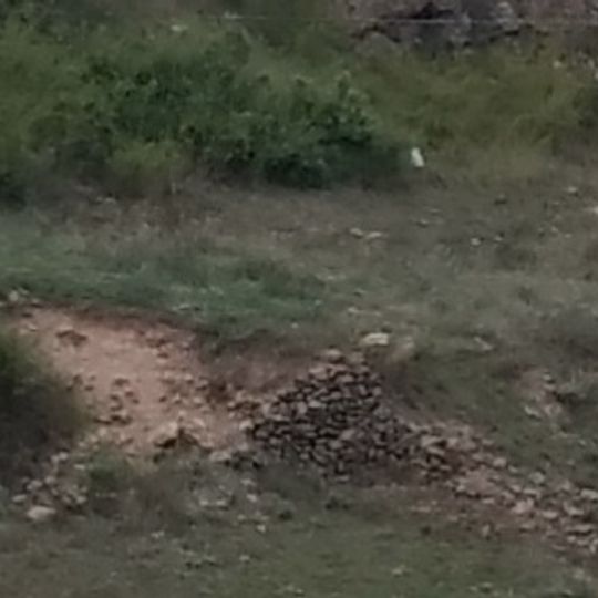 Restos de Castillo de Pina de Montalgrao