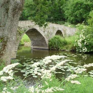 Países da Loira pouco conhecidos: castelos, jardins botânicos e sítios históricos