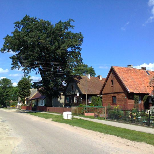 Klon, Szczytno County