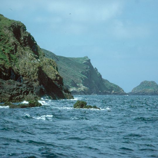 Skomer